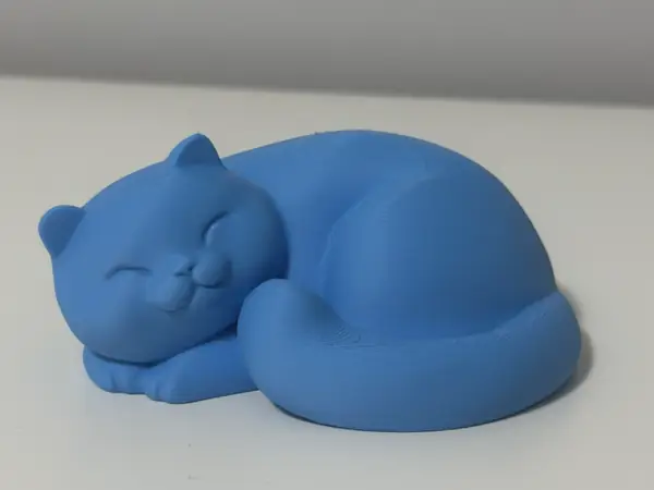 Happy Cat Sleeping