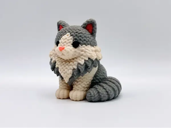 Knitted Domestic Longhair Cat