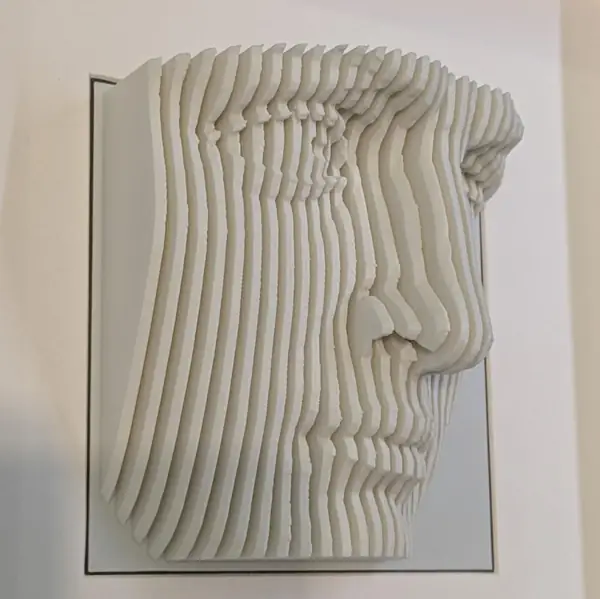 Michaelangelo's David - Layered Sculpture