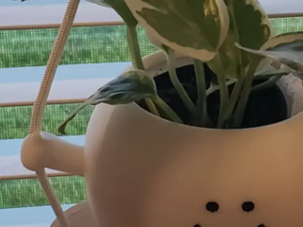 Happy planter pot on a swing