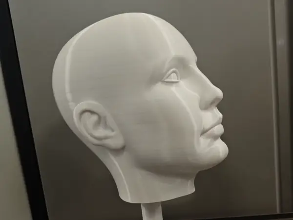 Life-Size Wig Stand – 54cm Head Circumference