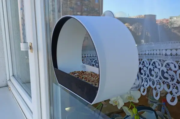 Window bird feeder