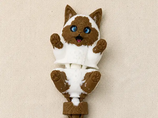 cute ragdoll kitten