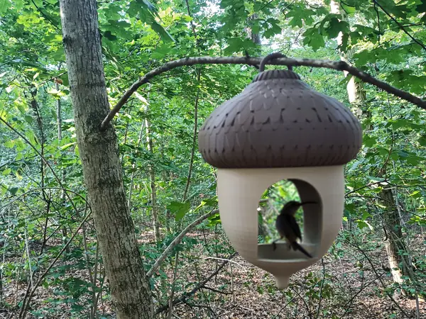 Acorn bird house
