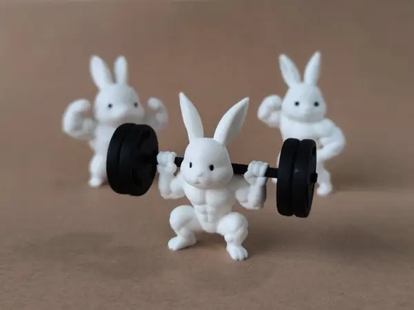 Jacked Rabbits weightlifting