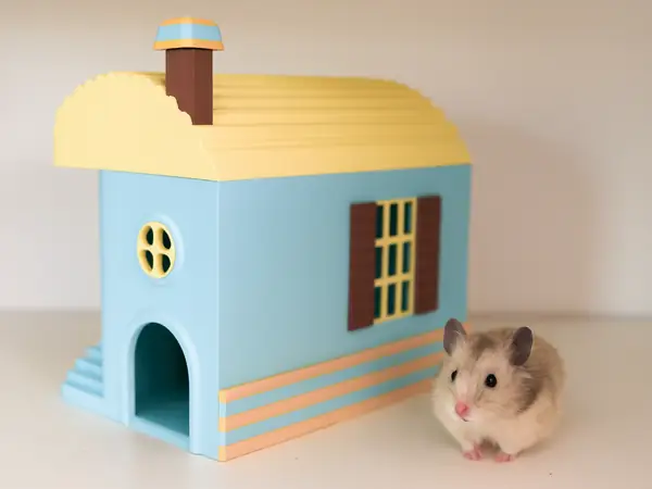 HAMSTER HOUSE