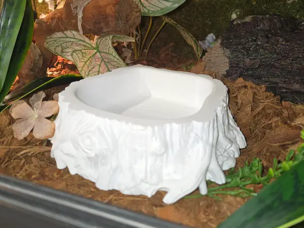 Tree Trunk Reptile Water Bowl