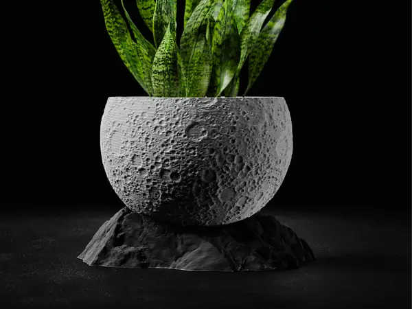 Moon Planter with Base