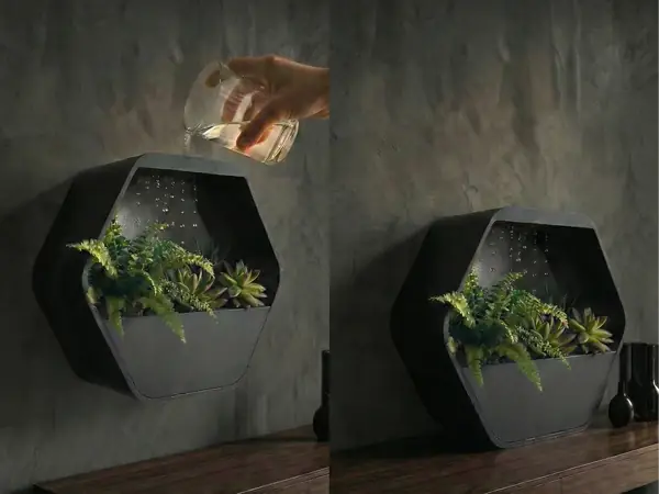 Wall & Table  HexaRain  | Zen Slow-Drip Planter 