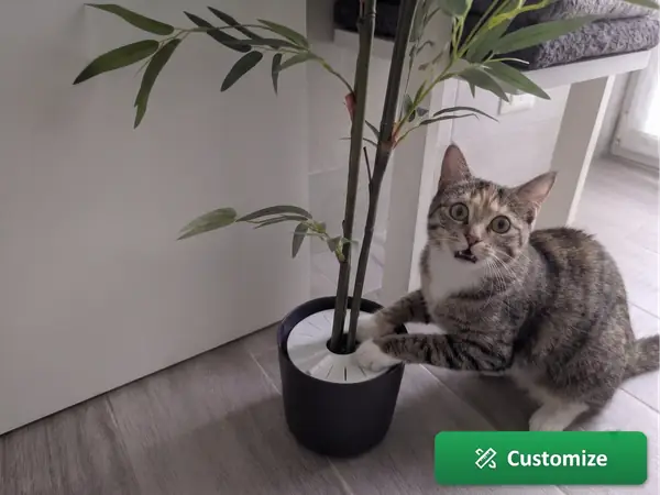 Parametric Plant Soil Guard - Pest & Cat Shield