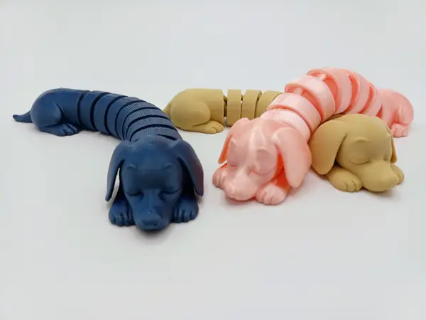 Flexi Dachshund Dog