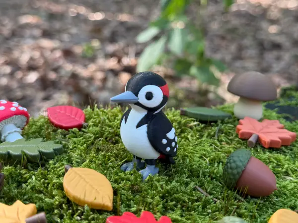 Forest Woodpecker