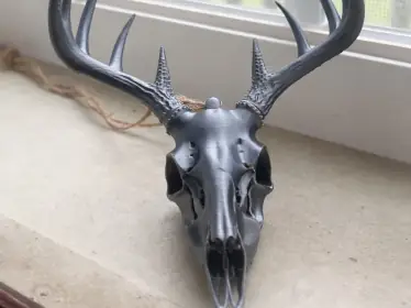 Realistic Deer Skull 3D Model