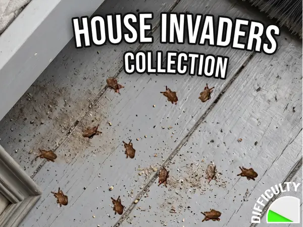 House Invaders - Bed Bugs