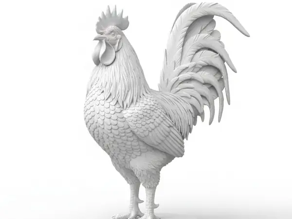 Gallo Realistico 3d