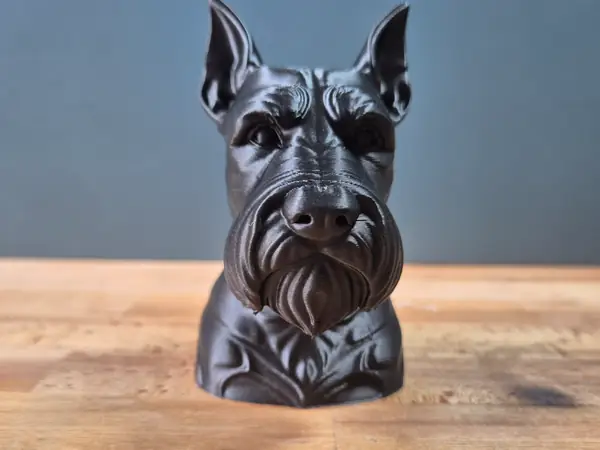 Schnauzer with cropped ears Bust