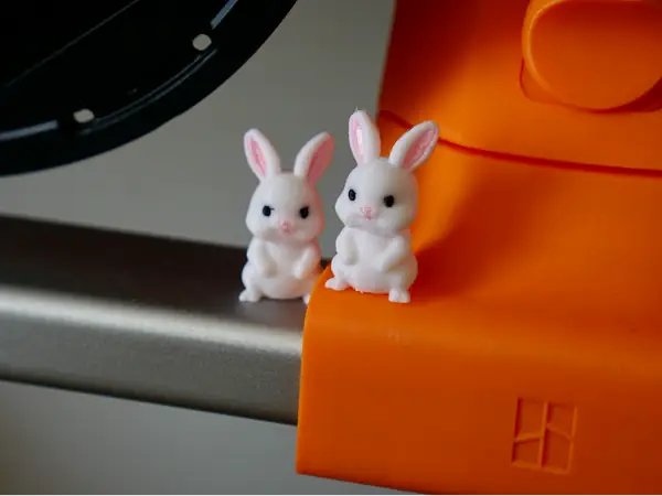 Cute Tiny Rabbit