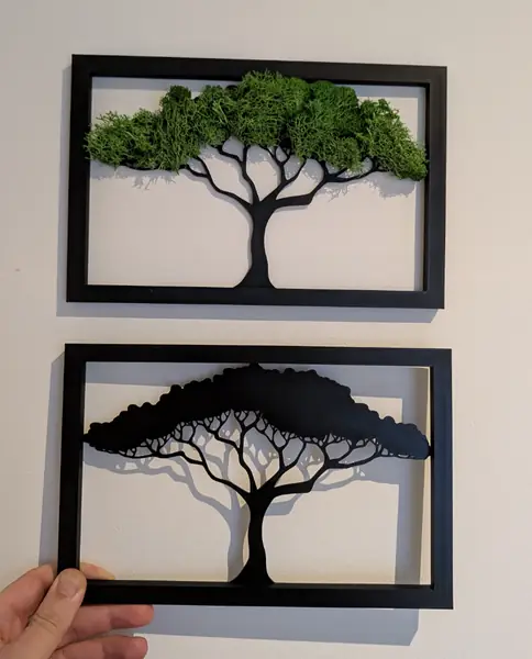 Moosbild_Tropischer Baum