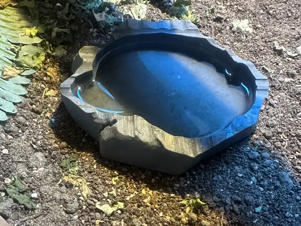 reptile lizard food water bowl dish