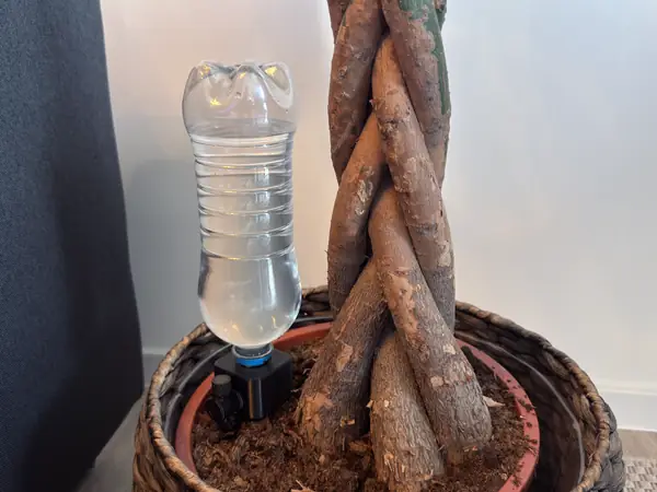 Plant Drip Irrigation (Water Drops)