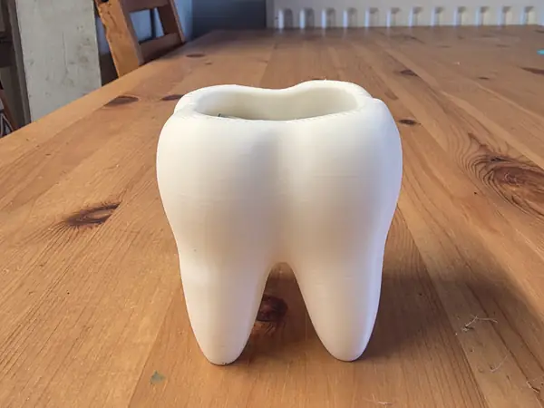 Tooth Pot