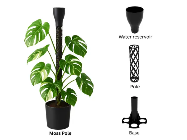 Modularer Moss Pole 65mm/45mm mit Wasserreservoir