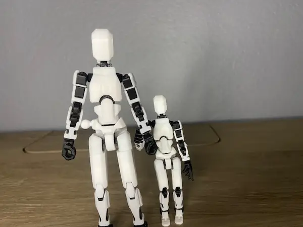 Dummy 5 Dummy 13 Variant