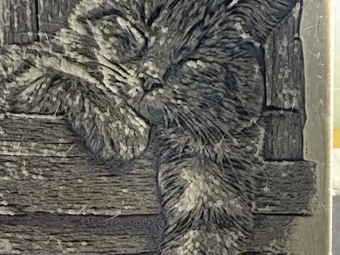 Sleeping Kitty 