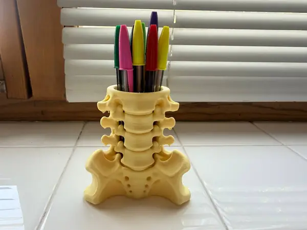 Human Spine Pen Holder