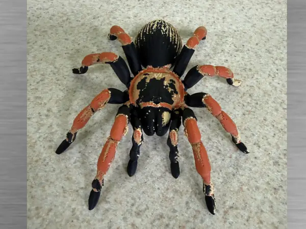 Brachypelma Tarantula-Ultra-realistic  Figure