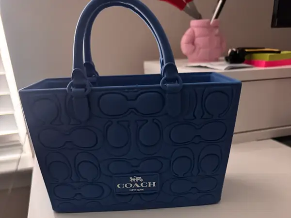 Coach Gift Bag/Box