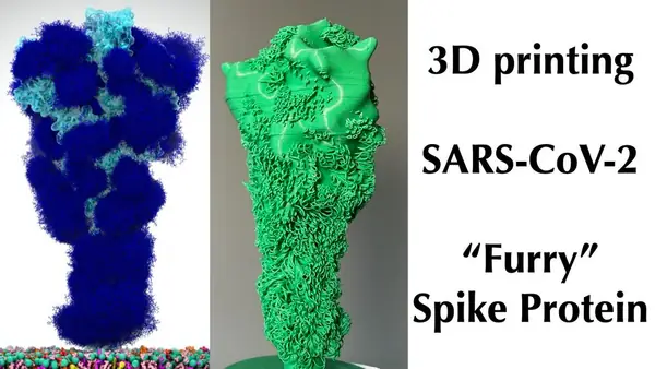 SARS-CoV-2 Coronavirus "Furry" Spike Protein