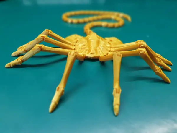 👽🦀 Alien REMASTERED facehugger print-in-place. Long tail and fingers.
