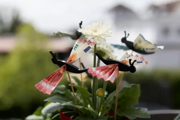 Butterfly money gift - Schmetterling Geldgeschenk