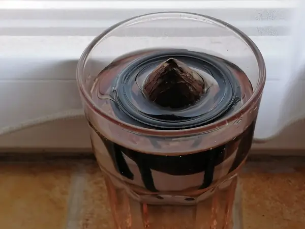 Avocado boat - floating seed grower