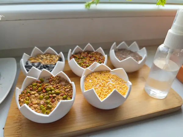 Cress sprouter (eggshell shape) - easter decoration