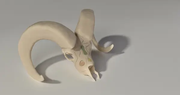Ornate Mountain Sheep Ram Skull