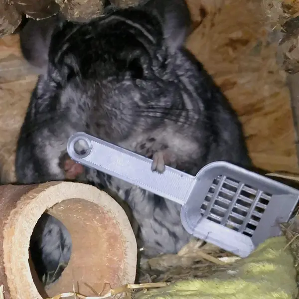 A little scoop for your pets poop