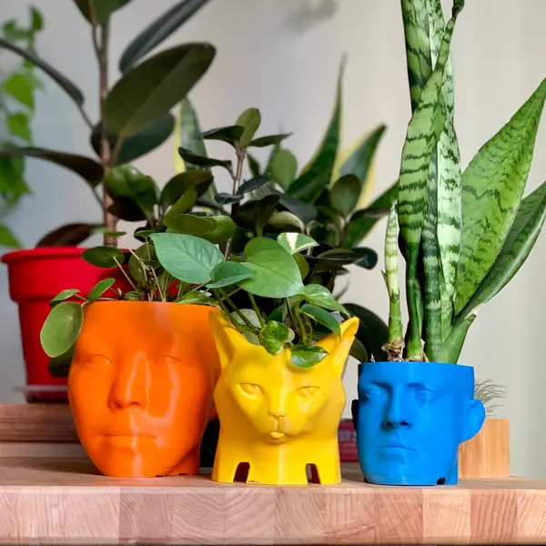 Cat head planter