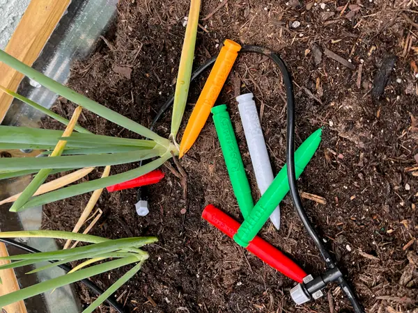 Herb Garden Plant Marker Bullets