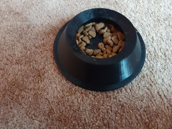 Cat bowl / Miska pro kočku
