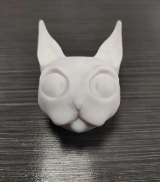 Cat head
