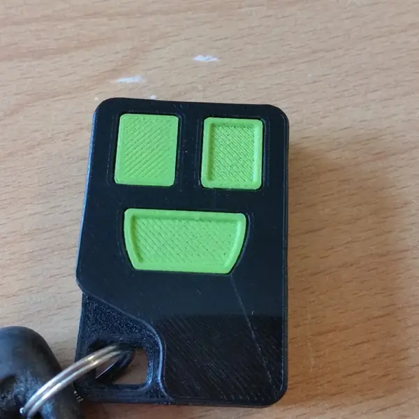 Remote case for a Volvo S70 2000