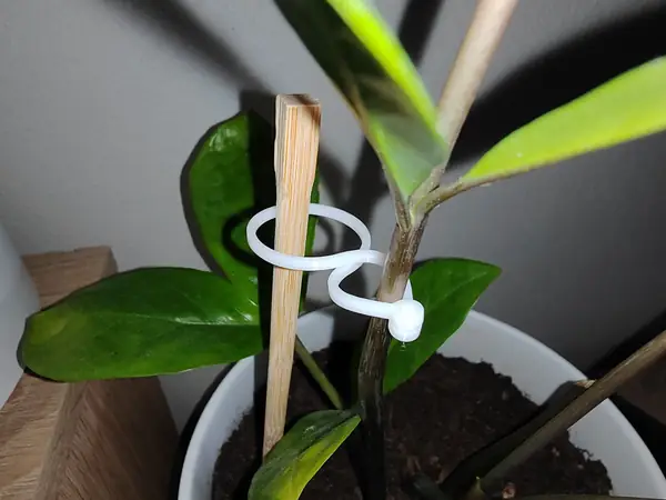 Garden Plant Clip
