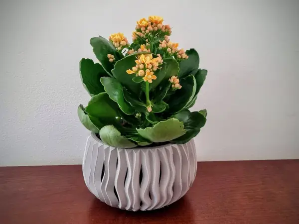 Modern planter