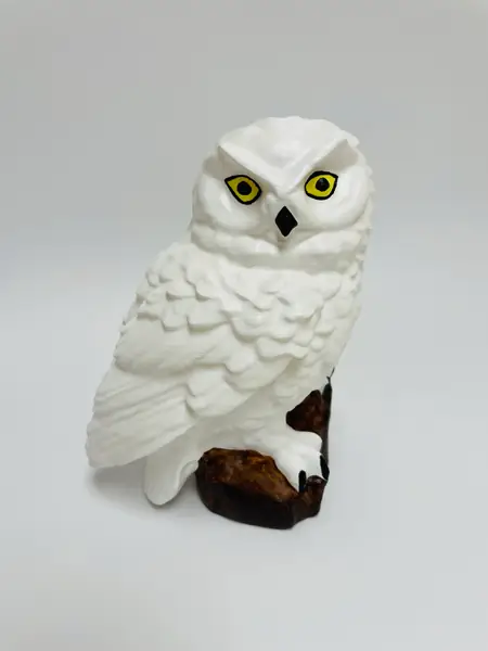 Snowy Owl (Hedwig) with flat bottom
