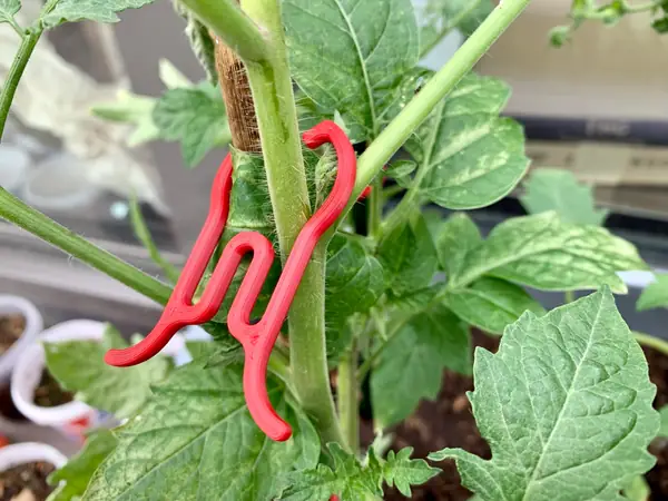 Plant clip
