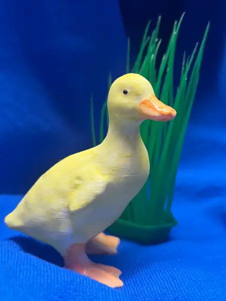Duckling