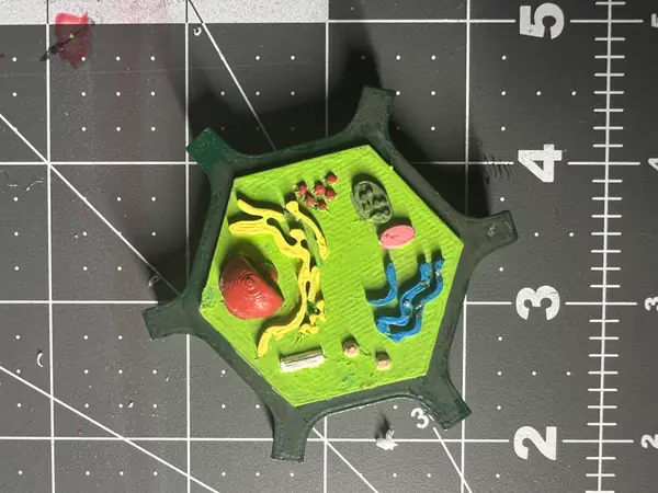 Plant Cell