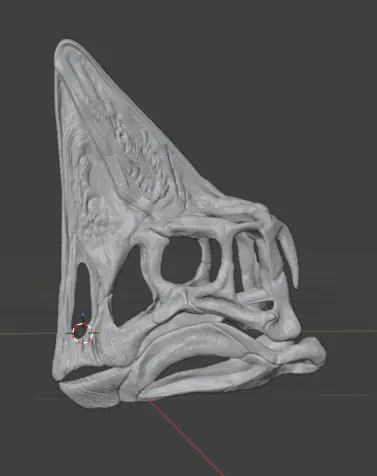 Spike Oviraptor Skull